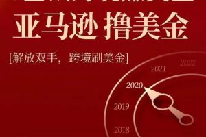 亚马逊撸美金项目，0基础跨境赚美金，解放双手，跨境刷美金【视频课程】