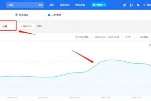 做偏门项目之卖动漫手办，一个很细分的垂直领域项目！