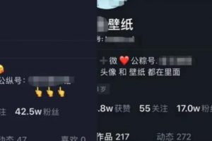 分享一个新手副业，零门槛的小众短视频赚钱项目