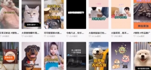 冷门蓝海赚钱项目，新手零基础创业术