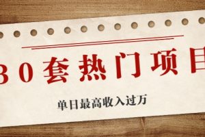 30套热门项目：单日最高收入过万 (网赚项目、朋友圈、涨粉套路、抖音、快手)等