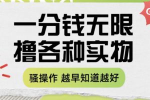一分钱无限撸实物玩法,让你网购少花冤枉钱【揭秘】