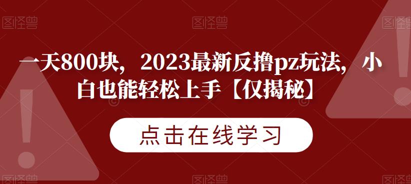 一天800块,2023最新反撸pz玩法,小白也能轻松上手【仅揭秘】插图 一天800块,2023最新反撸pz玩法,小白也能轻松上手【仅揭秘】