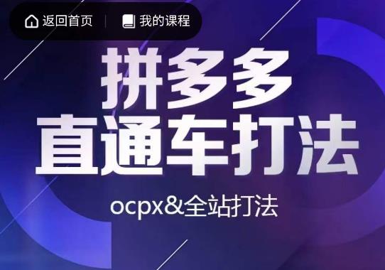 互力·拼多多直通车打法,ocpx&全站打法插图 互力·拼多多直通车打法,ocpx&全站打法