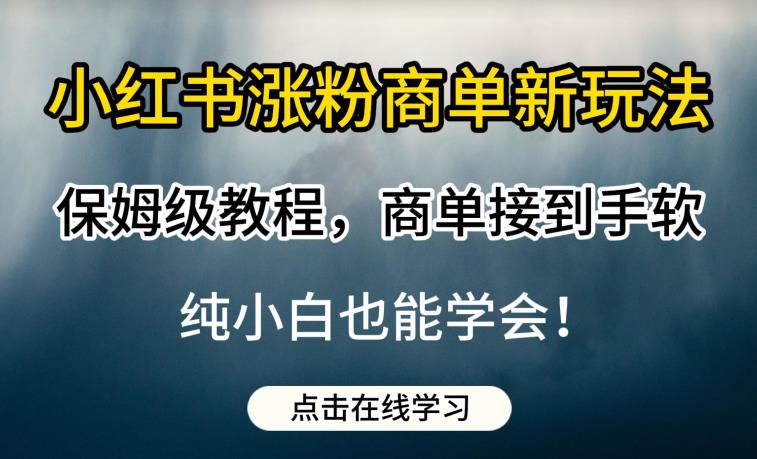 小红书涨粉商单新玩法,保姆级教程,商单接到手软,纯小白也能学会【揭秘】插图 小红书涨粉商单新玩法,保姆级教程,商单接到手软,纯小白也能学会【揭秘】