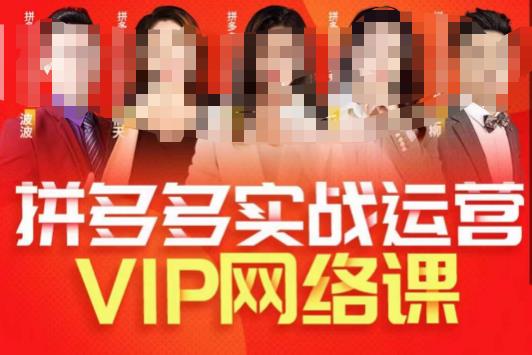 推易拼多多VIP全套直播课程,拼多多店铺实操玩法+实战玩法选款内功+直通车高阶等插图 推易拼多多VIP全套直播课程,拼多多店铺实操玩法+实战玩法选款内功+直通车高阶等