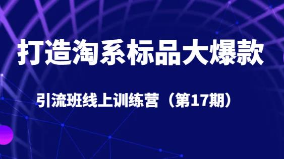 打造淘系标品大爆款引流班线上训练营(第17期)5天直播授课插图 打造淘系标品大爆款引流班线上训练营(第17期)5天直播授课