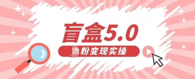 盲盒交友5.0,男粉变现实操项目,亲测变现效果极好【揭秘】插图 盲盒交友5.0,男粉变现实操项目,亲测变现效果极好【揭秘】