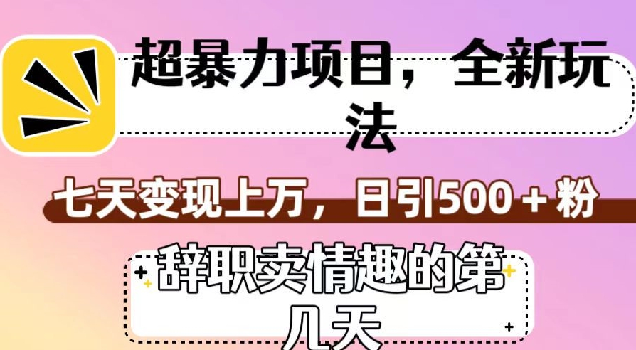 超暴利项目,全新玩法(辞职卖情趣的第几天),七天变现上万,日引500+粉【揭秘】插图 超暴利项目,全新玩法(辞职卖情趣的第几天),七天变现上万,日引500+粉【揭秘】
