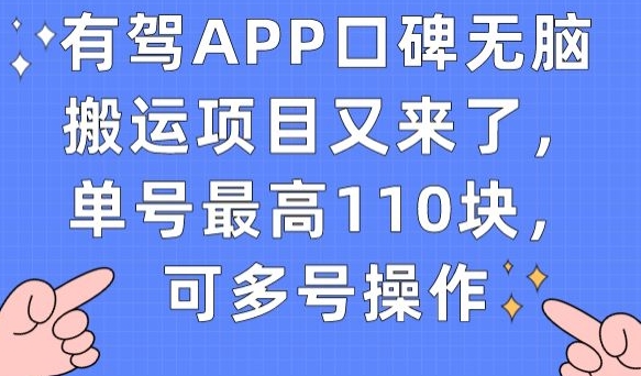 有驾APP口碑无脑搬运项目又来了,单号最高110块,可多号操作插图 有驾APP口碑无脑搬运项目又来了,单号最高110块,可多号操作