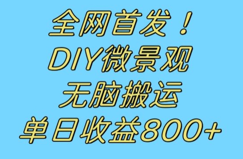 全网首发冷门赛道!DIY微景观,无脑搬运视频,日收益800+【揭秘】插图 全网首发冷门赛道!DIY微景观,无脑搬运视频,日收益800+【揭秘】