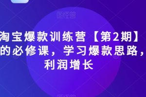 2023淘宝爆款训练营【第2期】,电商运营的必修课,学习爆款思路,实现利润增长