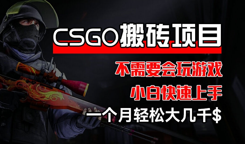 CSGO 装备搬砖项目,操作简单,不需要会玩游戏,小白也能快速上手,一个月轻松大几千【揭秘】插图 CSGO 装备搬砖项目,操作简单,不需要会玩游戏,小白也能快速上手,一个月轻松大几千【揭秘】