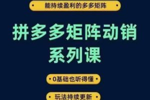 拼多多矩阵动销系列课，能持续盈利的多多矩阵，0基础也听得懂，玩法持续更新