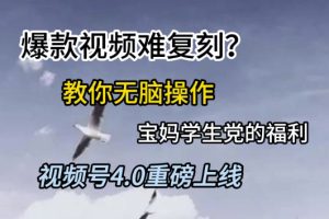 广告调研项目，会复制粘贴广告即可，任务无限量，日收益稳定5张【揭秘】