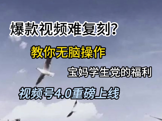 视频号4.0重磅上线,爆款视频难复刻?教你无脑操作宝妈学生党的福利【揭秘】插图 视频号4.0重磅上线,爆款视频难复刻?教你无脑操作宝妈学生党的福利【揭秘】